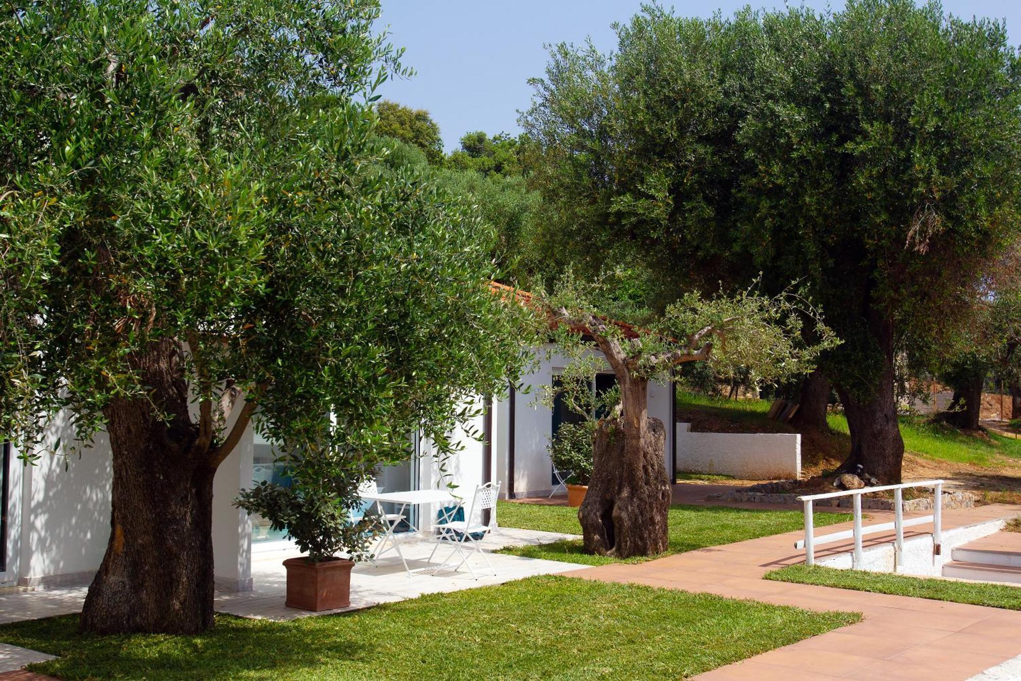 Bed and Breakfast Donnasilia Palinuro Exterior foto