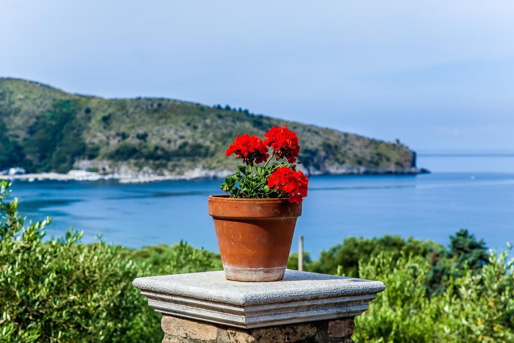 Bed and Breakfast Donnasilia Palinuro Exterior foto
